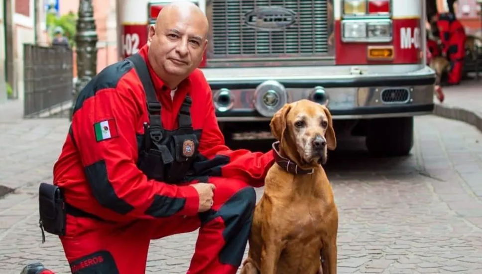 Perro rescatista Titán