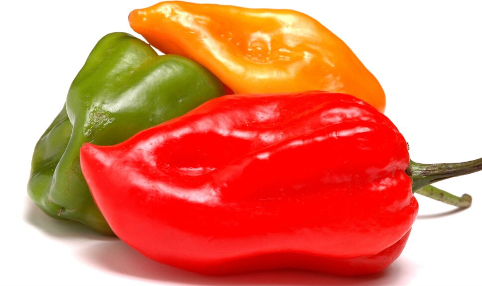 Chiles, Cocineros Mexicanos