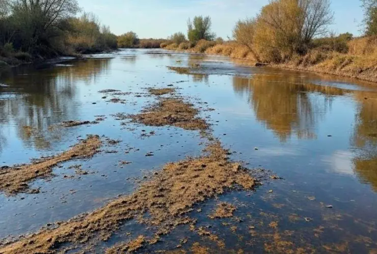 Sequía México 2025