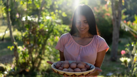 Reparten canastas alimentarias gratis en Edomex Quiénes las reciben y cómo pedirlas