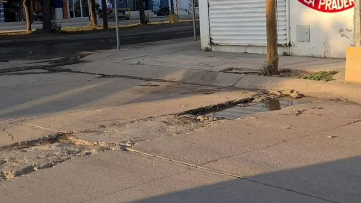 Bache en Pradera Dorada, Mazatlán