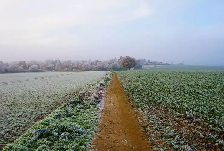 Frente Frío 22 ¿Cuáles estados tendrán temperaturas bajo cero en México