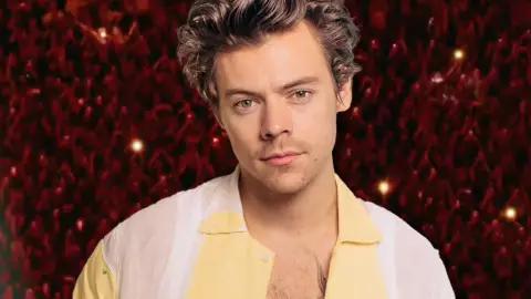 ¿Nuevo álbum en camino? Harry Style abre misterioso sitio web que desata sospechas