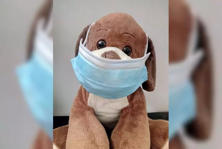 Llega a México la Influenza A H3N2; detectan primer caso en el país