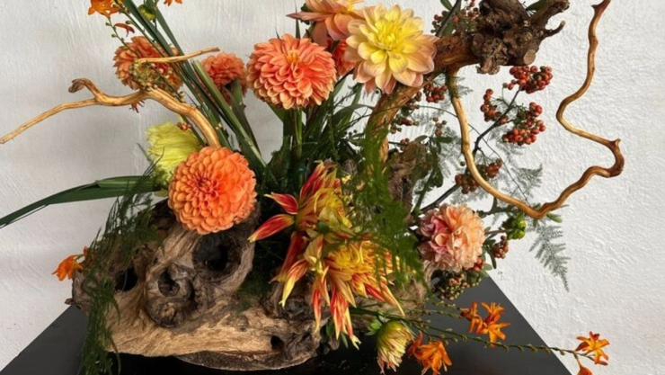 Exposición “Poesía en Flor, El arte de Ikebana y la Dalia” en Museo Casa del Risco