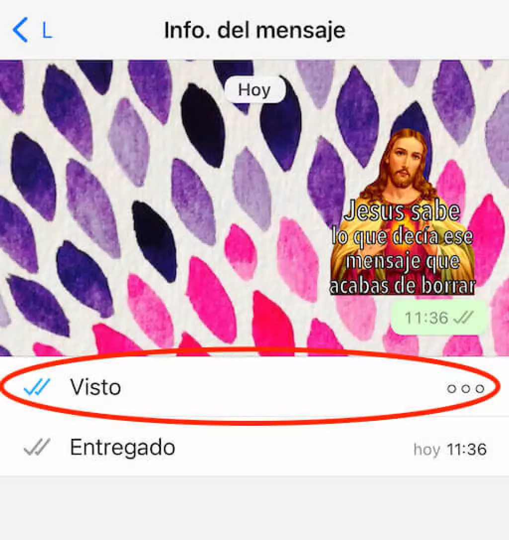 informacion del mensaje en whatsapp