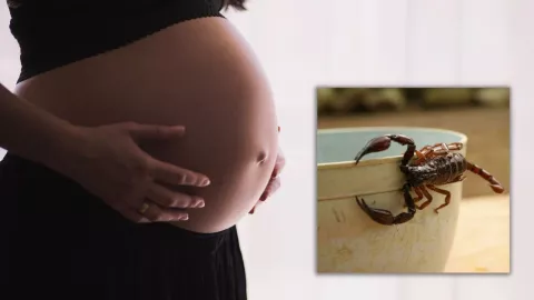 Mujer muere por alacrán