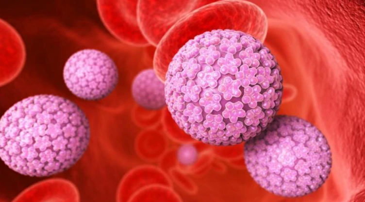 Virus del Papiloma Humano/ Foto: Especial