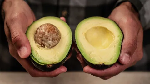 Precio del aguacate hoy 1 de febrero 2026: El costo de un kilo en CDMX y otras regiones de México