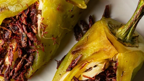 Viscoso pero sabroso - Estos son los cinco INSECTOS COMESTIBLES en México