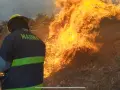 Al momento hay 1,645 personas evacuadas y 3 refugios activos. La mayor afectación se reporta en Ensenada (5,000 hectáreas) y Tecate (1,250 hectáreas).