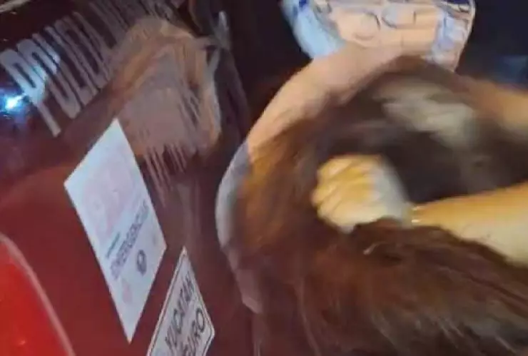 FOTOS_ Intento de linchamiento en Umán por el ataque con machete contra un perrito