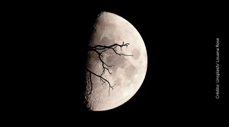 ¿Qué es la Luna de lobo y cuándo se verá desde México?