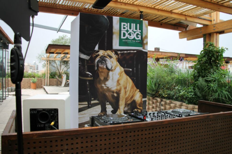 bulldog llega a mex