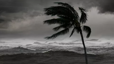 Qué estados afectará el huracán Carlotta que se volvió categoría 1