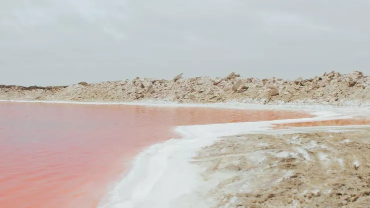 Mar rosa en San Diego