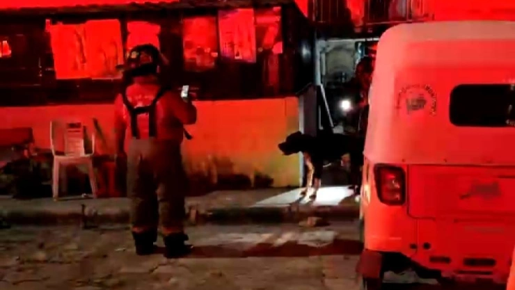 Pitbull ataca a sus dueños en Cancún tras no reconocerlos