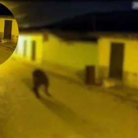 ¿Real o montaje? VIDEO muestra la impactante transformación de un hombre en nahual