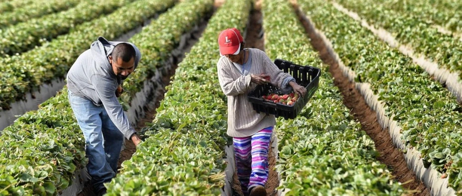 trabajadores