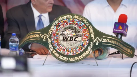 Alacran Berchelt boxeo pelea 11 de octubre