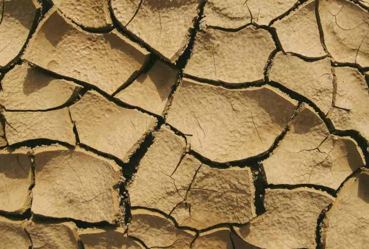 ¡Se hace polvo! Presa la Peña del Águila en Durango sufre grave sequía