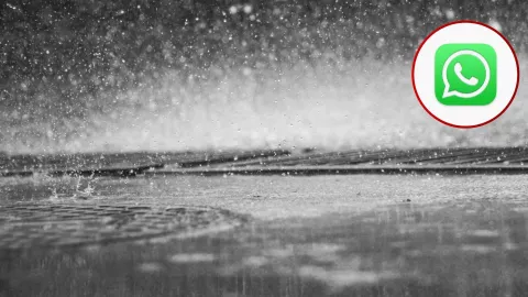 ¿Para qué sirve el modo lluvia y cómo activarlo en WhatsApp?.jpg
