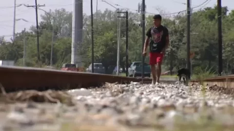 Viaja junto a su perro por 12 paises.jpg