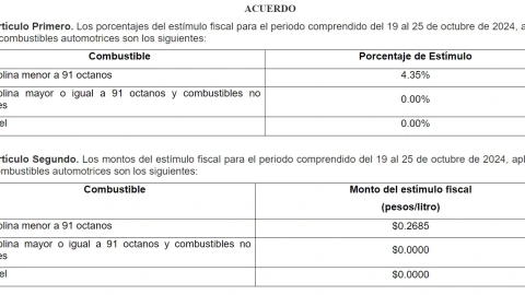 precio-de-la-gasolina-hoy-19-de-octubre-2024-en-méxico-magna-premium-diesel-cuerpo