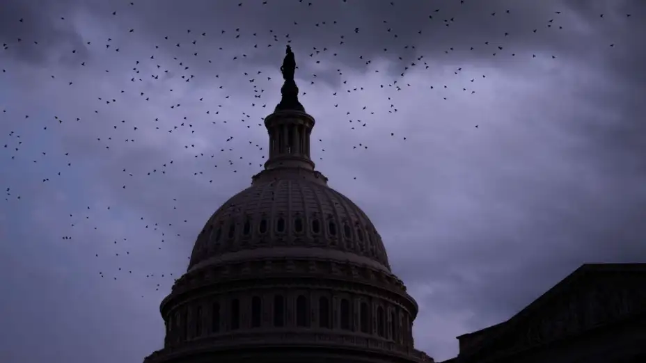 Pájaros vuelan cerca del Capitolio de EU, en Washington.