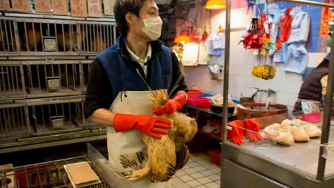 Mercados húmedos de china