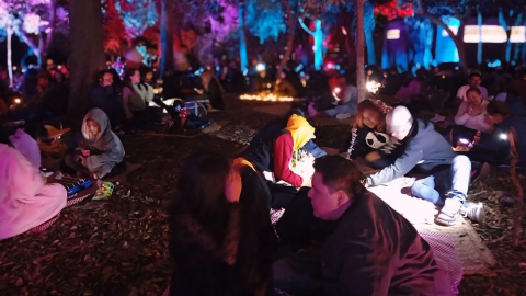 Picnic Nocturno 2025