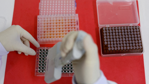 primer caso de gripe aviar