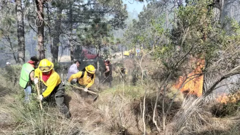 Brigadistas sofocan incendio en Las Vigas, Veracruz