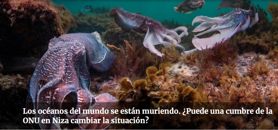 Captura de Pantalla 2025-06-07 a la(s) 14.07.17.png