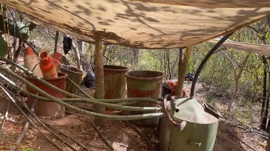 Semar decomiso (1).jpg