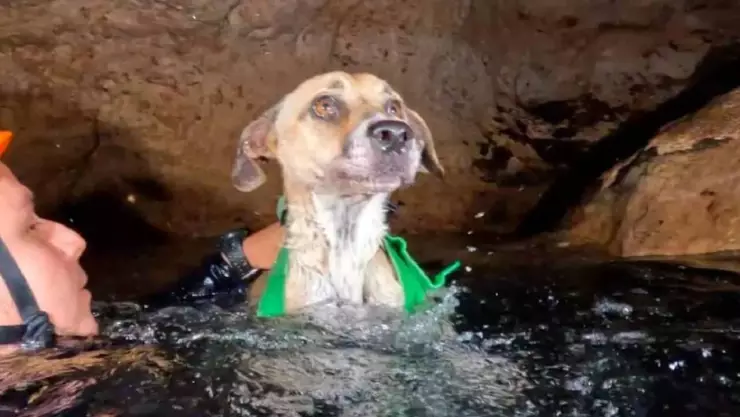 Rescatan a Shakira de cenote 