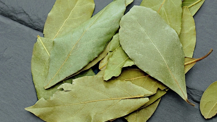 beneficios del té de hojas de laurel para tu salud.jpg
