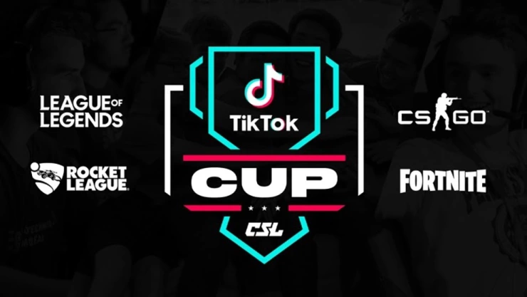 tiktok cup