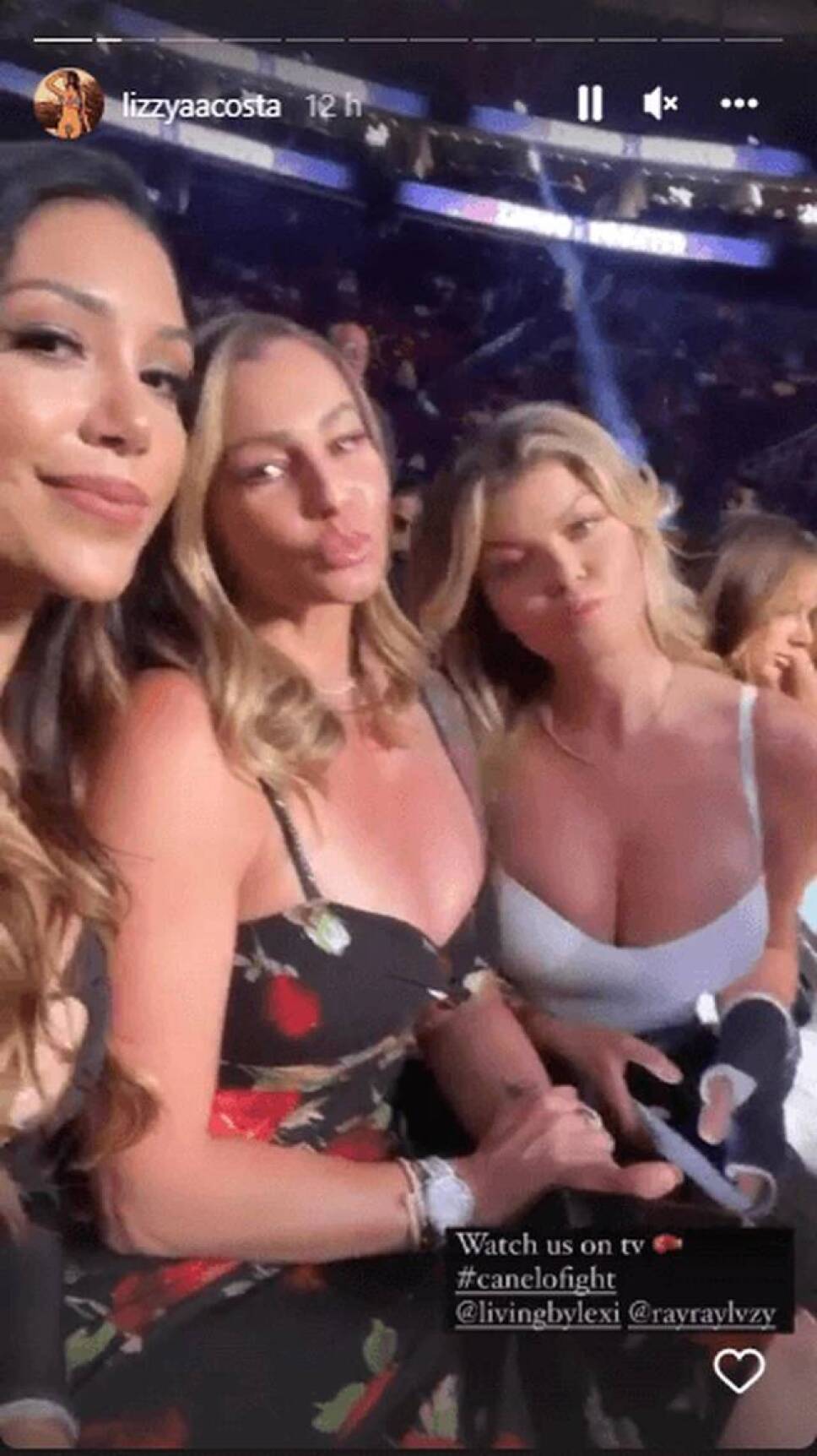 mujeres en la pelea del canelo 1