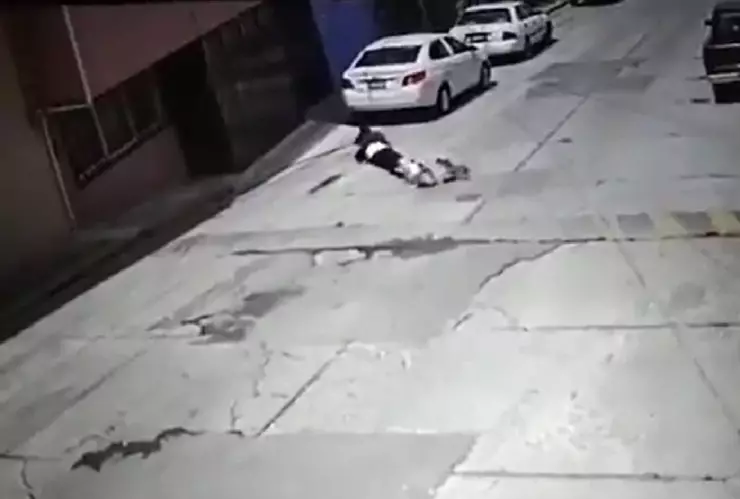 Perro pitbull ataca a abuelita.jpg