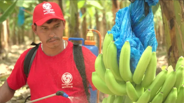 productores inegi