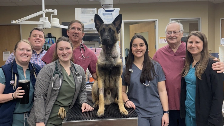 Dan de alta a Rocky, perro policía herido en Houston
