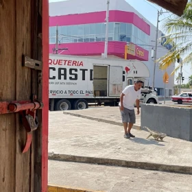 Un chofer captura una iguana protegida en Tuxpan