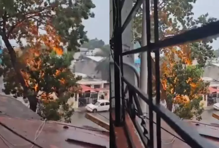 HURACÁN HELENE_ Se registran incendios en árboles de la calle Colares en CANCÚN.jpg