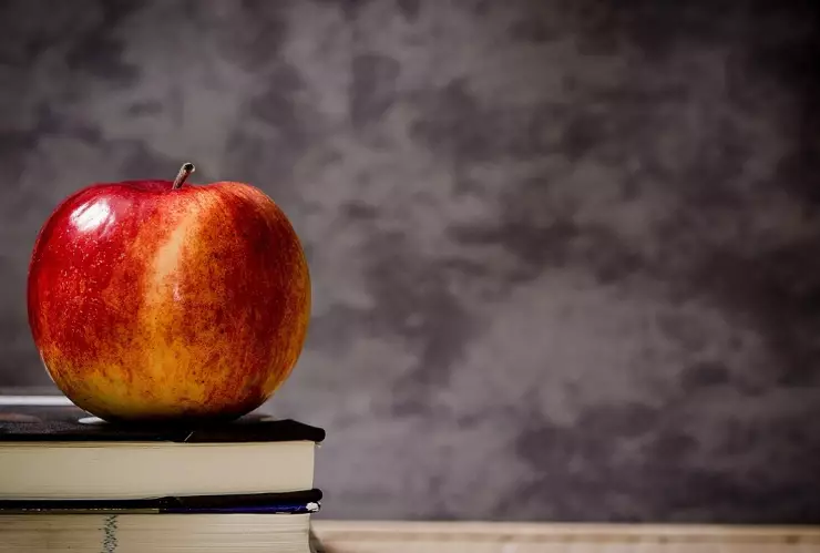 ciclo escolar 2023-2024 puebla