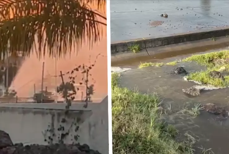 Se registra mega fuga de agua sobre el Libramiento, en León, hoy 1 de noviembre