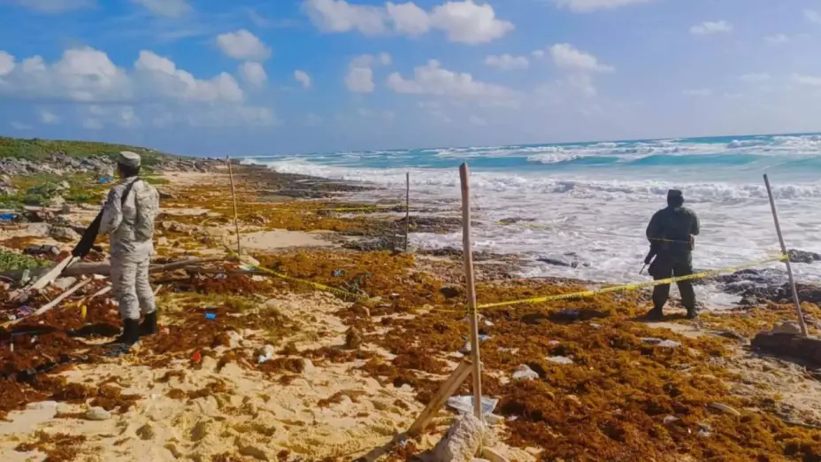Elementos del Ejército Mexicano aseguran droga en Quintana Roo