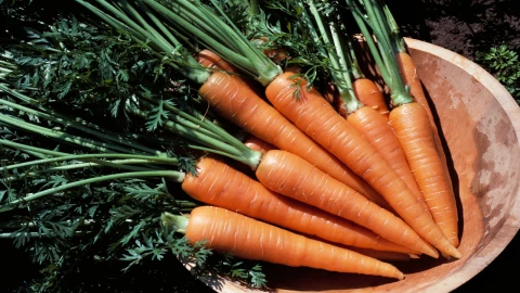 Estas son las enfermedades que ayuda a prevenir la zanahoria