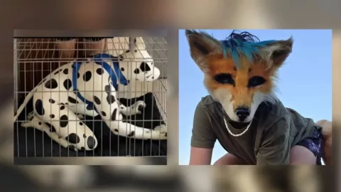 ¿Quieres ser uno?: Revelan riesgos médicos de vivir como un “therian