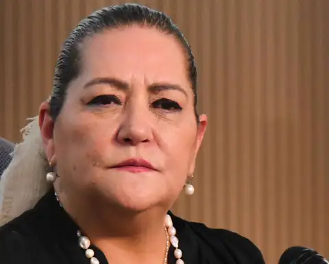 Guadalupe Taddei.